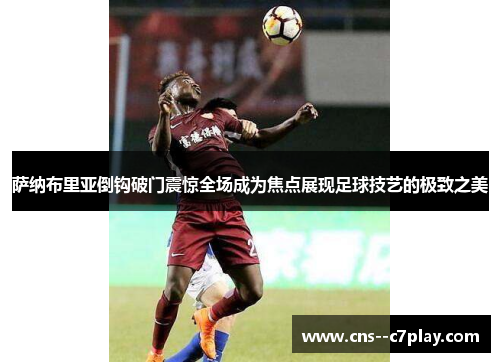 萨纳布里亚倒钩破门震惊全场成为焦点展现足球技艺的极致之美 萨纳布里亚倒钩破门震惊全场成为焦点展现足球技艺的极致之美