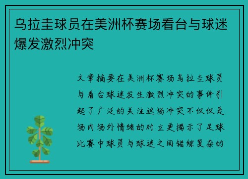 乌拉圭球员在美洲杯赛场看台与球迷爆发激烈冲突
